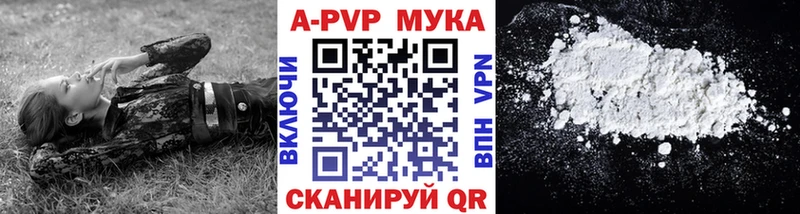 сколько стоит Ливны Альфа ПВП крисы CK