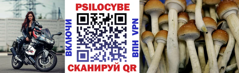 Галлюциногенные грибы MAGIC MUSHROOMS  ОМГ ОМГ ССЫЛКА  Ливны 